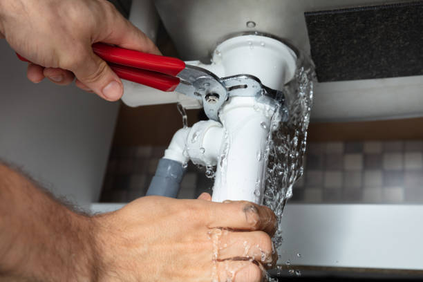 Best Water damage contractors near me  in Brevard, NC