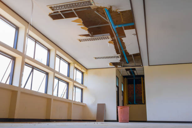 Best Local water damage restoration  in Brevard, NC
