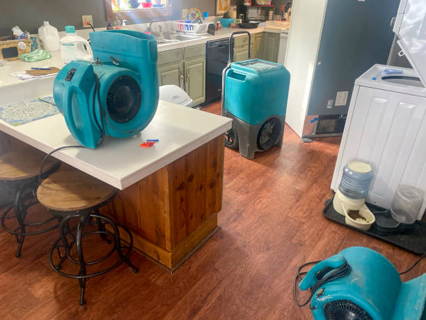 Best Water damage restoration near me  in Brevard, NC