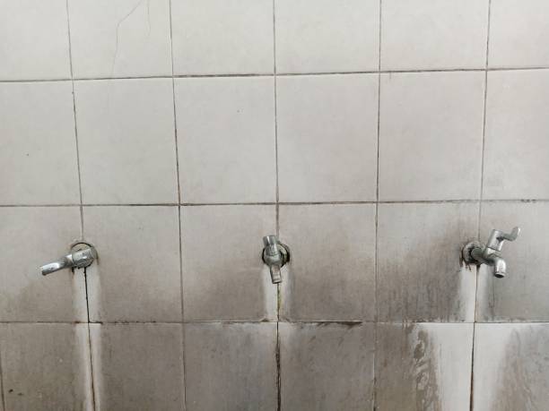 Best 24-hour water damage restoration  in Brevard, NC