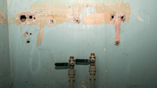 Best Residential water damage restoration  in Brevard, NC