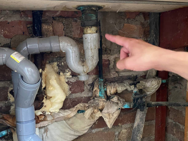 Best Flood damage cleanup  in Brevard, NC