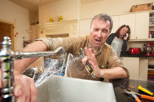 Best Flood restoration services  in Brevard, NC